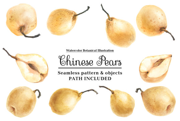 Fresh Chinese Pears by Watercolor: The Artisanal Force Redefining Botanical Design Assets