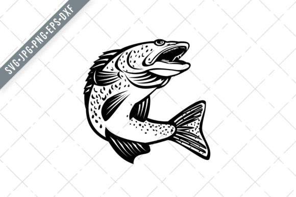 The Walleye (Sander vitreus): A Complete Guide to the Yellow Pike – Plus Retro Black & White Illustration Uses