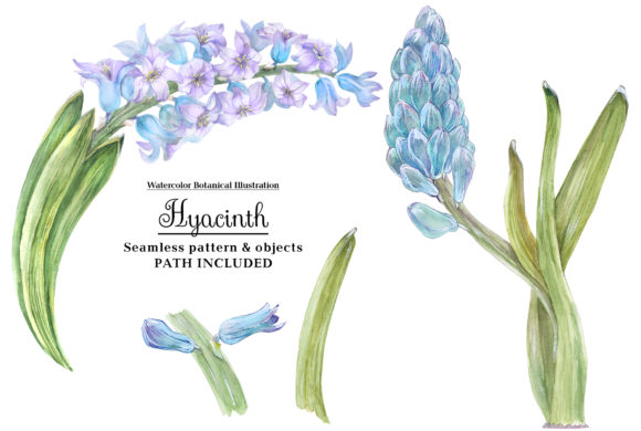 Watercolor Hyacinth: A Strategic Asset for Modern Visual Communication