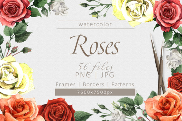 Why the Colorful Roses Watercolor Set Is Redefining Modern Visual Storytelling